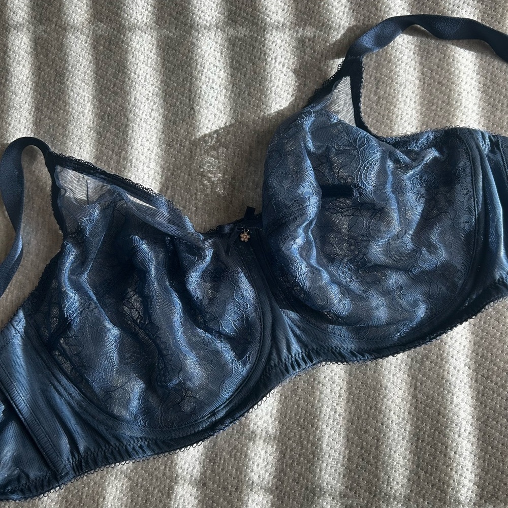 Wacoal Retro Chic Bra - Blue